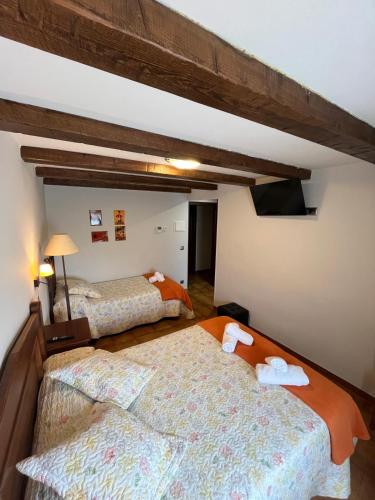 a bedroom with two beds in a room at Fonda Carrera in Labuerda