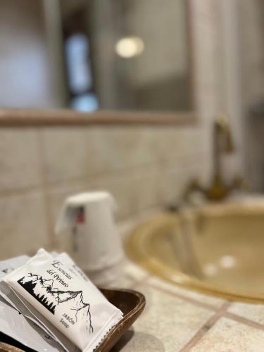 a book sitting on a counter in a bathroom at Fonda Carrera in Labuerda