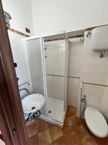 a bathroom with a shower and a toilet and a sink at La Fonte B&B in Baranello