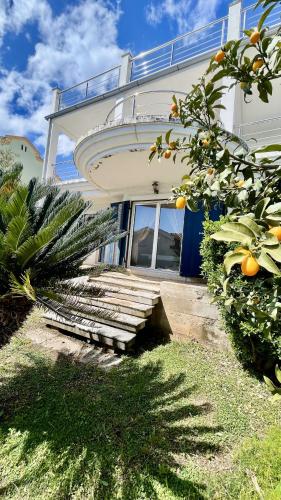 Taman di luar Seafront Villa Montenegro1 min to the Sea