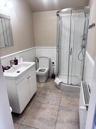 a bathroom with a shower and a toilet and a sink at Zajazd Arkadia in Siemiatycze