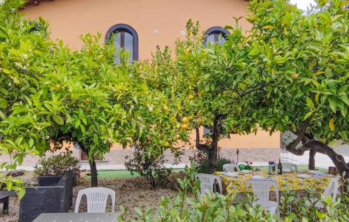 an outdoor dining area with tables and chairs under orange trees at Gorgeous Home In Motta Camastra in Motta Camastra