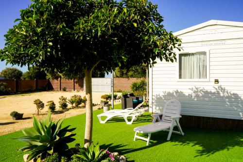 a yard with two chairs and a tree at Palmaradise in El Palmar