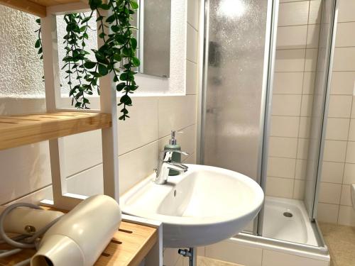 a bathroom with a sink and a shower at Familien Apartment inkl Spielecke nähe Pullman City Westernstadt in Hasselfelde