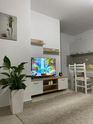 Main apartment Bulevard 5