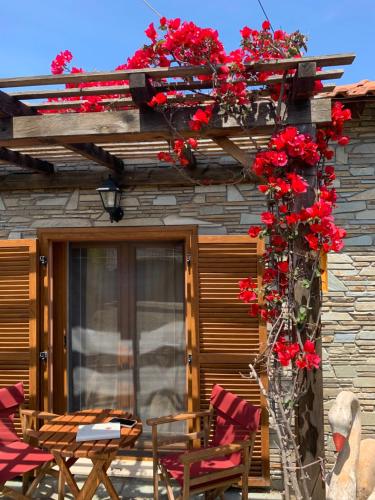 Georgia's House Sykia