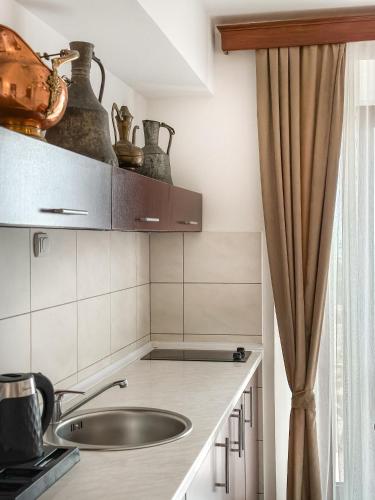 Una cocina o cocineta en Hotel Palata Venezia