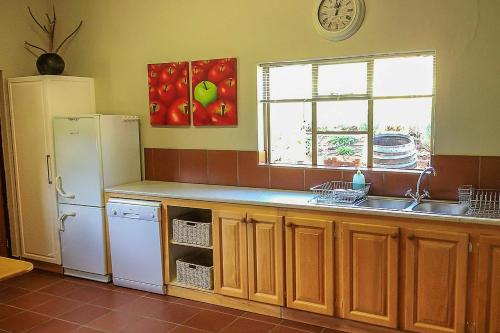 a kitchen with a refrigerator and a sink and a window at Pat Busch Mountain Reserve in Robertson