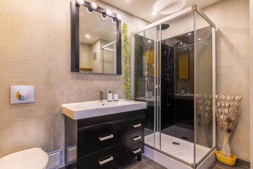 une salle de bain avec un lavabo et une douche dans l'établissement L'artiste, à Annecy