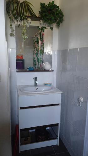 une salle de bain avec un lavabo blanc et un miroir dans l'établissement Gignac 34 Maison avec jardin 3 min du centre ville, à Gignac