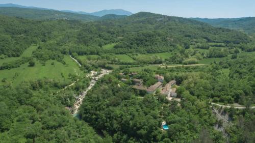 an aerial view of a lush green forest at Stone House Kotli in Kotli