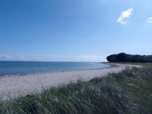 a sandy beach with grass and the ocean at Urlaub Am Meer Im Ferienhaus Mit Sauna in Maasholm