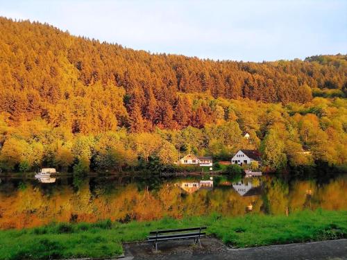 un banco sentado en la orilla de un lago en Altes Fährhaus Anno 1 6 3 3 Traumferienwohnung In Exponierter Moselufer Lage, en Traben-Trarbach