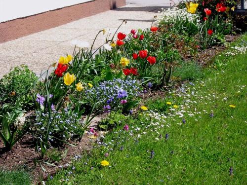 a garden with colorful flowers in the grass at Apartment Bergblick in Abtenau
