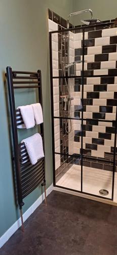 y baño con ducha, toallas y espejo. en Crescent House, en Plymouth