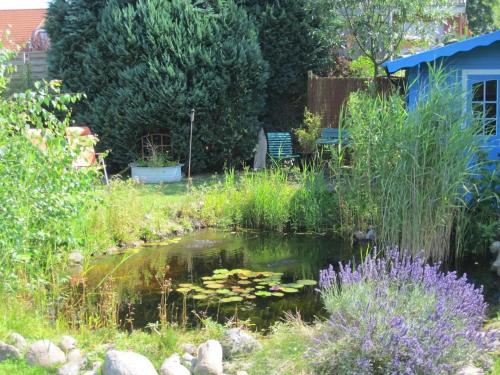 a pond in a garden with a bench and flowers at Wohnung In Gießelrade Mit Großem Garten in Ahrensbök