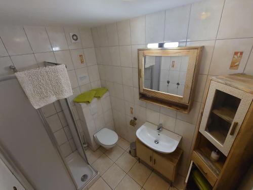 a bathroom with a sink and a toilet and a mirror at Fewo Erzgebirge in Dorfchemnitz