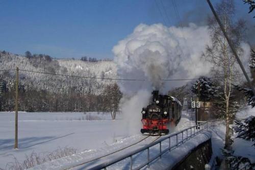 a train is coming down the tracks in the snow at Fewo Bergkristall in Sehmatal