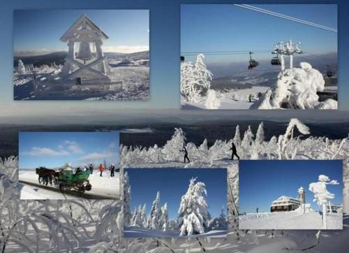 a collage of pictures of a ski resort in the snow at Fewo Bergkristall in Sehmatal