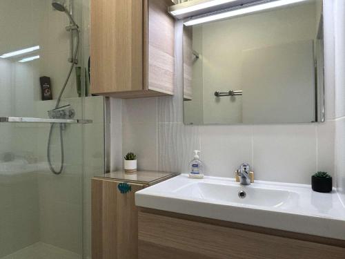 une salle de bain avec un lavabo, un miroir et une douche dans l'établissement Appartement 3 pièces 5 couchages BANYULS SUR MER BN050-H03, à Banyuls-sur-Mer