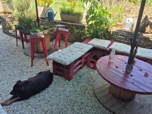 a dog laying on the ground next to a table at Les chambres du Nid charentais in La Poterie