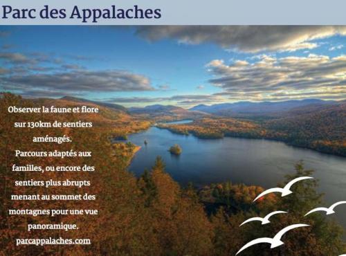 a poster of a lake with birds flying over it at Chalet Loft #4 Waterfront with Spa Fireplace and Wifi in Cap-Saint-Ignace