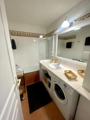une salle de bain avec une machine à laver et un lavabo dans l'établissement Apartment T2 cosy Les Issambres, à Roquebrune-sur Argens