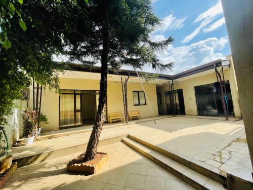 a building with a palm tree in a courtyard at Bete Selam in Bahir Dar