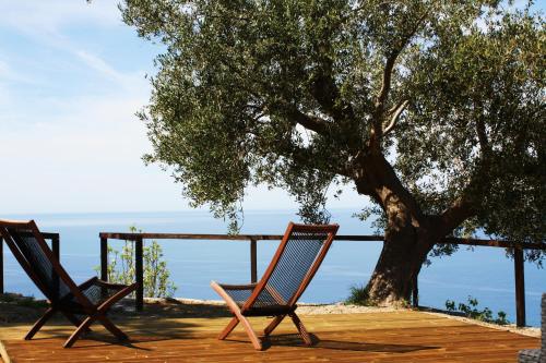two chairs sitting on a deck under a tree at Villa Serra d'Elci in Ascea