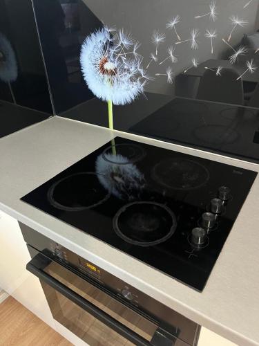 a dandelion in a vase on top of a stove at Liqeni New Apartament in Tirana