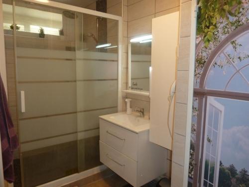 un baño con lavabo y espejo en Charmante chambre chez l'habitant, en Ivry-sur-Seine