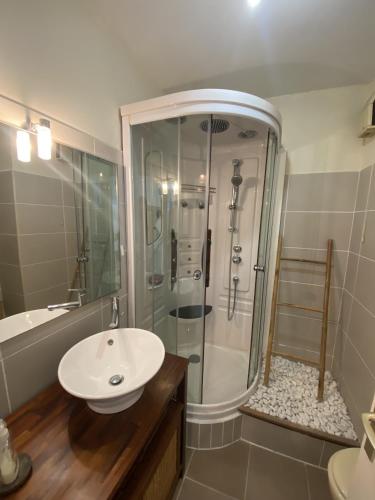 une salle de bain avec une douche, un lavabo et des toilettes dans l'établissement Le Petit Faure appartement 50m de la mer, à La Rudelière