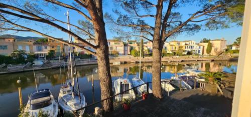 un groupe de bateaux amarrés dans un port de plaisance dans l'établissement Lemon house location with view, à Cogolin