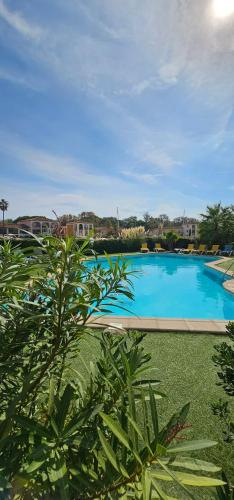 Lemon house location with view