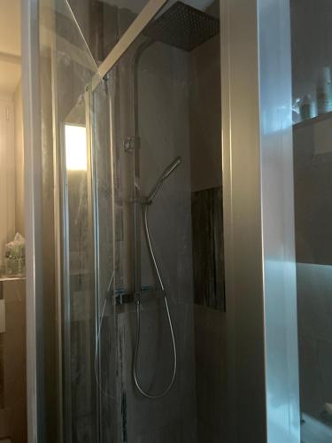 une douche avec pommeau de douche dans une salle de bain dans l'établissement Entire studio Cannes Raphael, à Cannes