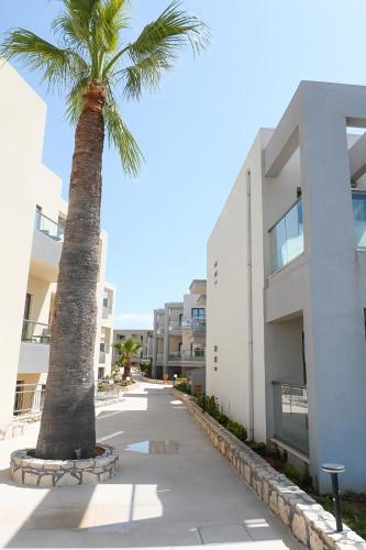 a palm tree in front of a building at Kalia Beach in Gouves