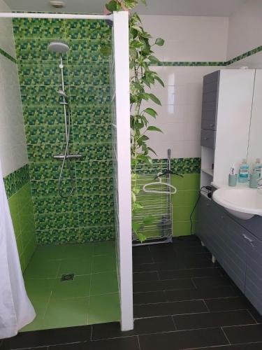 une salle de bain avec douche et lavabo dans l'établissement Les lauriers - 3 bedrooms, hyper-centre and pool, à Castres