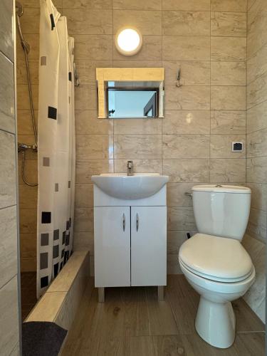 a bathroom with a toilet and a sink at Willa Afrodyta in Krynica Morska