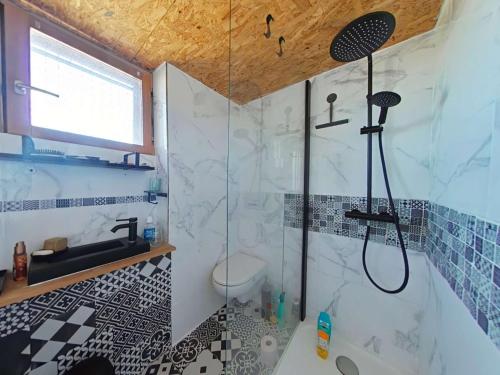 une salle de bain avec une douche avec des toilettes et un lavabo dans l'établissement Appart Studio Mezzanine 2 couchages PORT LEUCATE NATURISME PL010-654, à Leucate-Plage