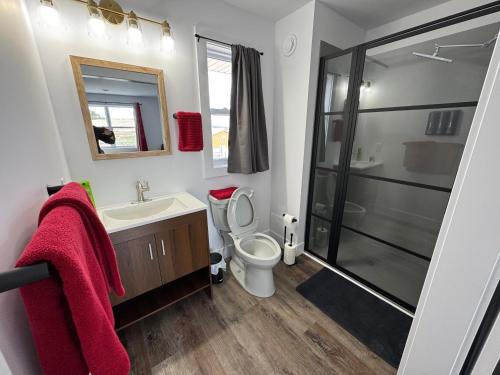 a bathroom with a toilet and a sink and a shower at The Red Rest Motel by The Red Farm in Sydney