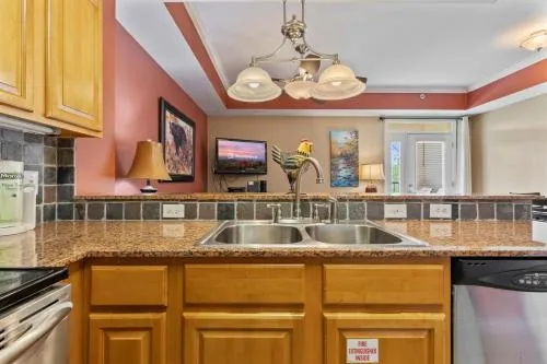 Pigeon River View Condos photo 21