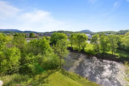 Pigeon River View Condos photo 64