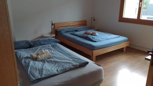 two beds in a bedroom with two teddy bears on them at Ausblickszimmer in Mauren