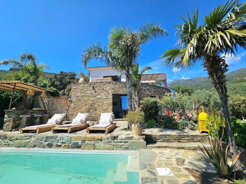 une villa avec piscine et palmiers dans l'établissement Villa Prestige Erbalunga - Casa di a Scala, à Brando