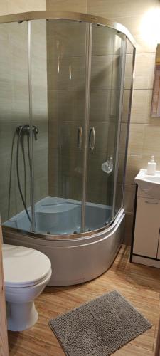 een badkamer met een douche, toilet en wastafel bij Domki Milena in Mieroszyno