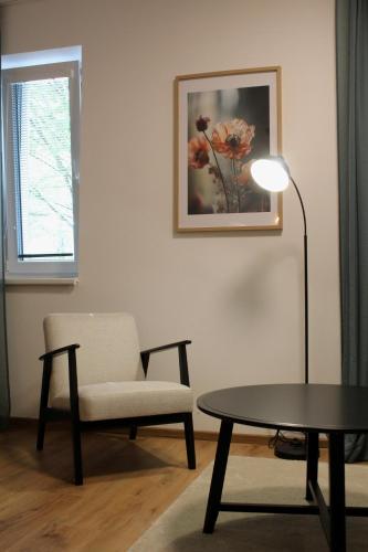 a living room with a chair and a table at Apartmány Abacie in Nový Jičín