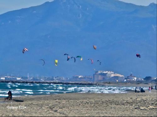 Photo de la galerie de l'établissement Le paradis des anges - Camping Siblu MAr Estang, à Canet