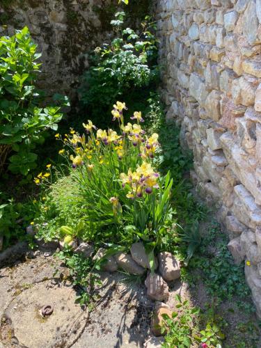 a garden with flowers in front of a stone wall at Ferme Fleurie in Bergesserin