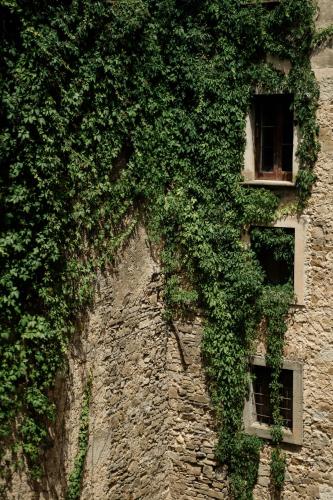 Gallery image of Palazzo Mazziotti in Celso