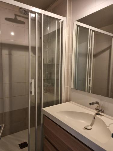 une salle de bain avec un lavabo et une douche dans l'établissement Appartement à Talence, T4 proche de Bordeaux, à Talence